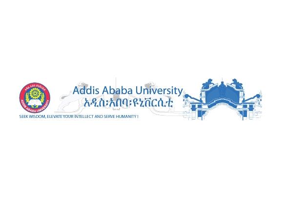 addis ababa university thesis repository